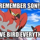 Illustration for article titled The Rise and Fall of Competitive iPokémons/iem/em Most Hated Bird, Talonflameem/em